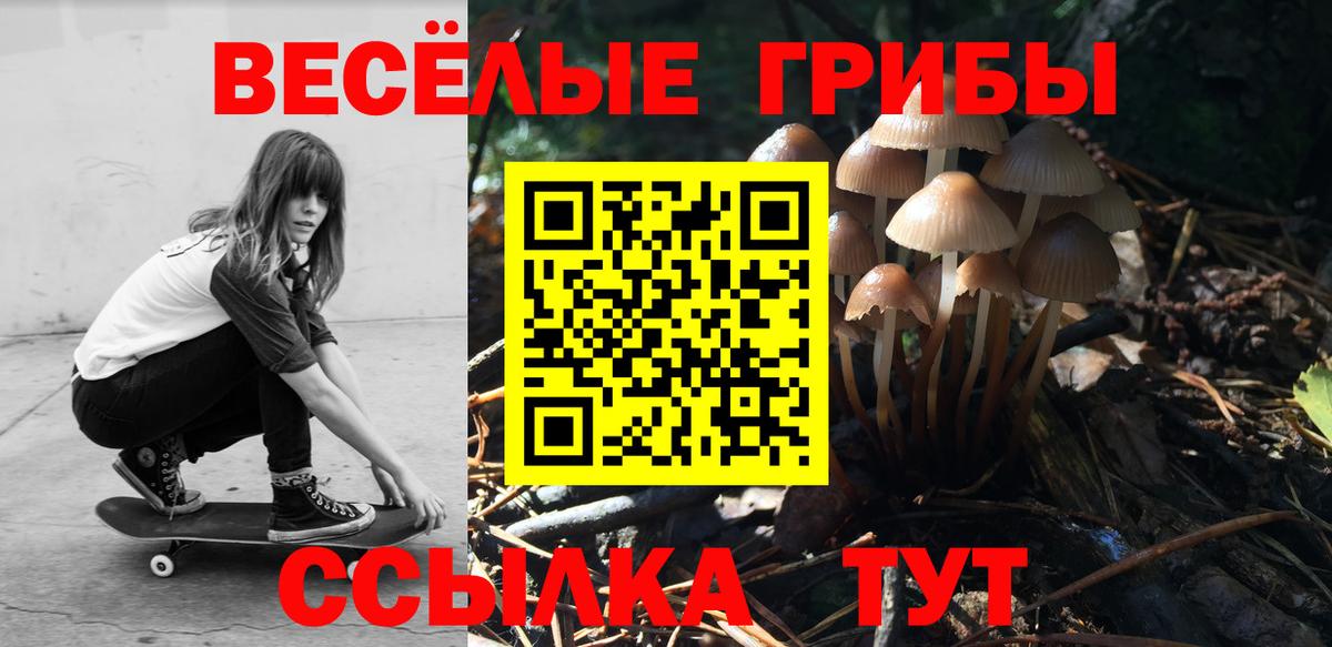 Куйбышев  Галлюциногенные грибы Psilocybe  Псилоцибиновые грибы мухоморы  Вход с VPN 